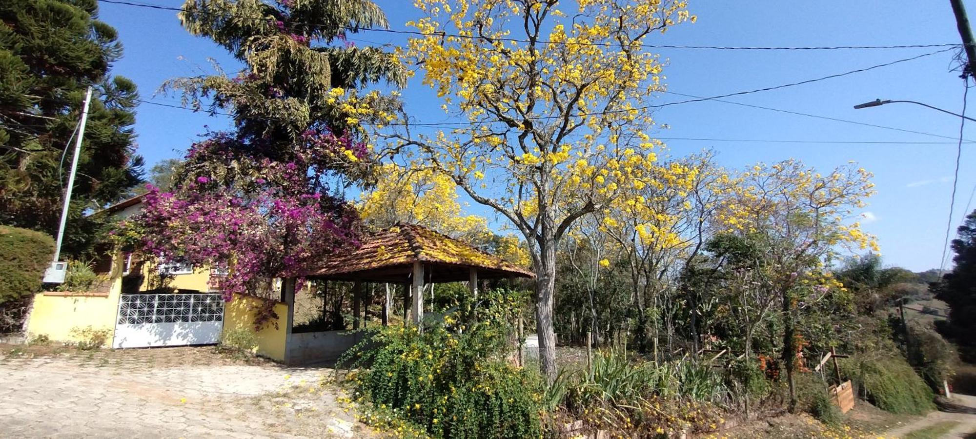 Ecohousing Gaia Terranova Hospedagem Eco Pet Friendly Piranguinho エクステリア 写真